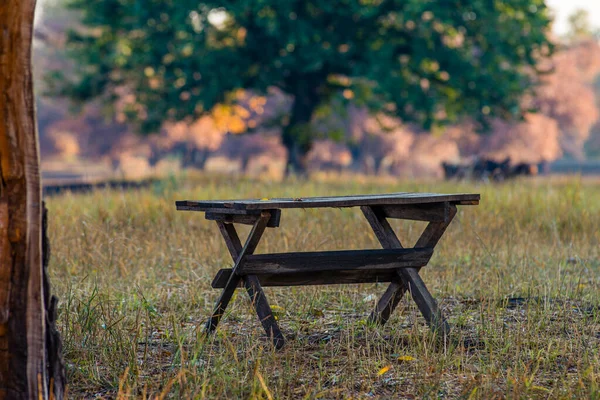 Empty table on Sunny day. Garden furniture for leisure in nature. Wooden table under the tree in summer orchard. Wooden outdoor furniture set for Picnic in garden.