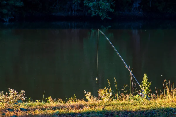 Freshwater Angling Rods Lake Mist Morning — Zdjęcie stockowe