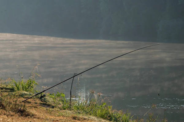 Freshwater Angling Rods Lake Mist Morning — 图库照片