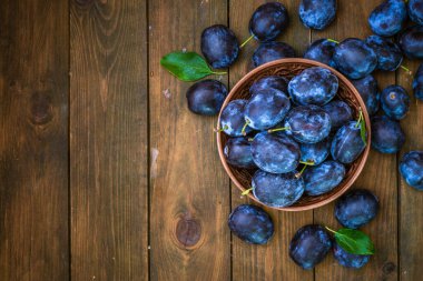 Olgun mavi taze organik tatlı erikler ağaçtan toplanmış, ceviz ağacı kasesi içeride. Sonbahar meyveleri kırsal ahşap kara arka plan yaprak kil hasat