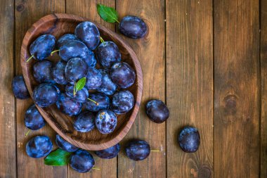 Olgun mavi taze organik tatlı erikler ağaçtan toplanmış, ceviz ağacı kasesi içeride. Sonbahar meyveleri kırsal ahşap kara arka plan yaprak kil hasat