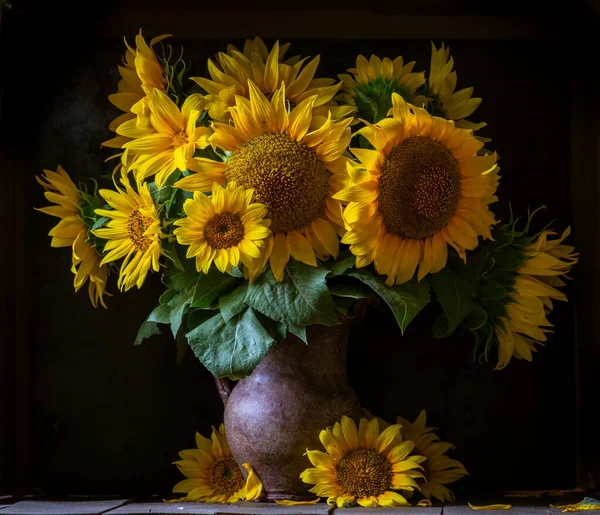 Indah Bunga Matahari Kuning Masih Hidup Buket Dalam Kendi Tanah Stok Foto
