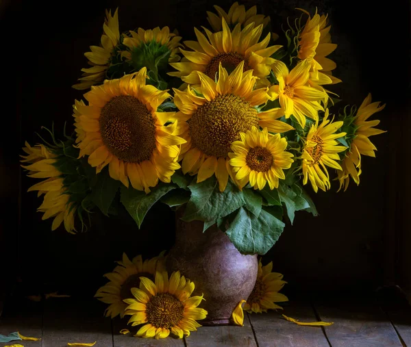 Indah Bunga Matahari Kuning Masih Hidup Buket Dalam Kendi Tanah Stok Gambar Bebas Royalti