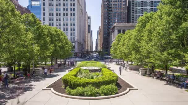 Chicago, USA, Zeitraffer - Der Millennium Park von Chicago während des Tages — Stockvideo