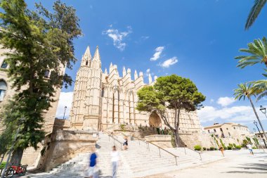 Palma de Mallorca adalarındaki Gotik Katedral La Seu, İspanya
