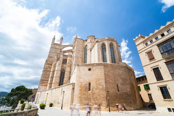 Palma de Mallorca adalarındaki Gotik Katedral La Seu, İspanya