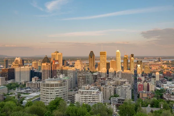 Montreal silueti ve finans bölgesi Mont Royal 'dan gün batımında görüldüğü gibi.