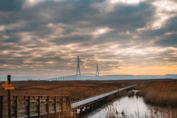 Ponte Normandia sulla Senna vicino alla città di Le Havre, Francia — Foto Stock