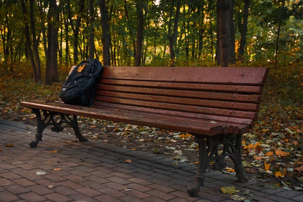 Siyah sırt çantası bir sonbahar parkında bir bankta duruyor.