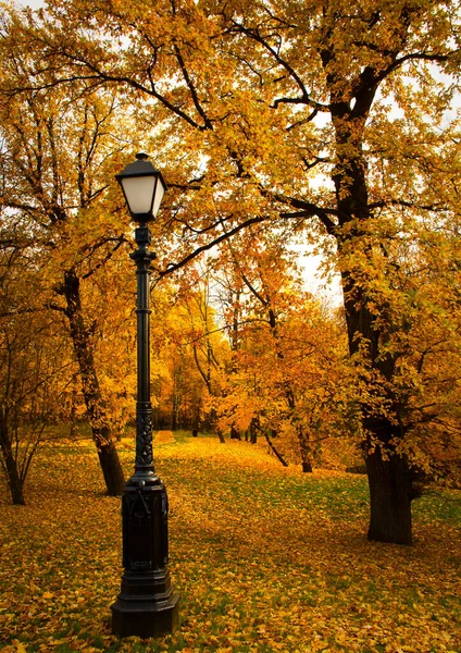 Mât d'éclairage rétro dans le parc d'automne parmi le feuillage jauni des arbres — Photo