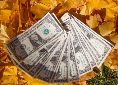 Sarı akçaağaç yaprakları üzerinde bir dolarlık banknotlar.