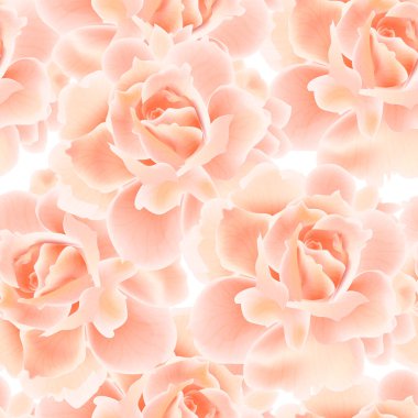 güzel pembe güller arka plan