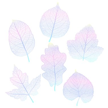 Sonbahar yapraklarının vektör illüstrasyonu