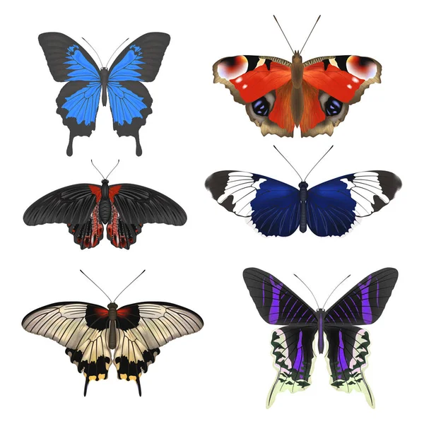 Beyaz arka planda izole edilmiş kelebekler.