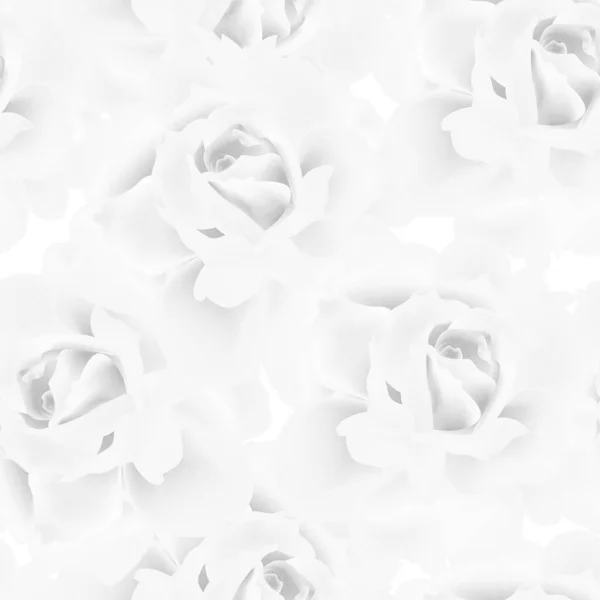 White Rose Flower Gray Background — Vetor de Stock