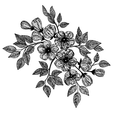 Çiçek ve yaprakların vektör illüstrasyonu