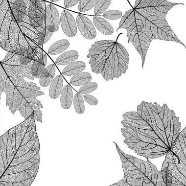 Arka planda elle çizilmiş yapraklar var. vektör illüstrasyonu.