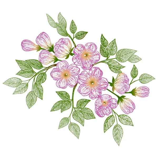 Vektorillustration Des Floralen Und Botanischen Hintergrunds — Stockvektor
