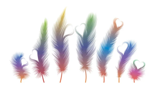 Set Feathers Vector Illustration — Stock Vector