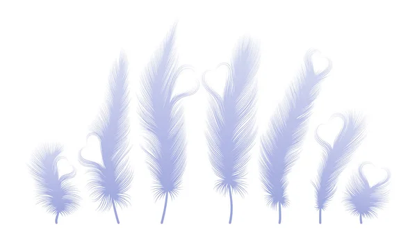 Feather Feathers Isolated White Background — Stockvektor