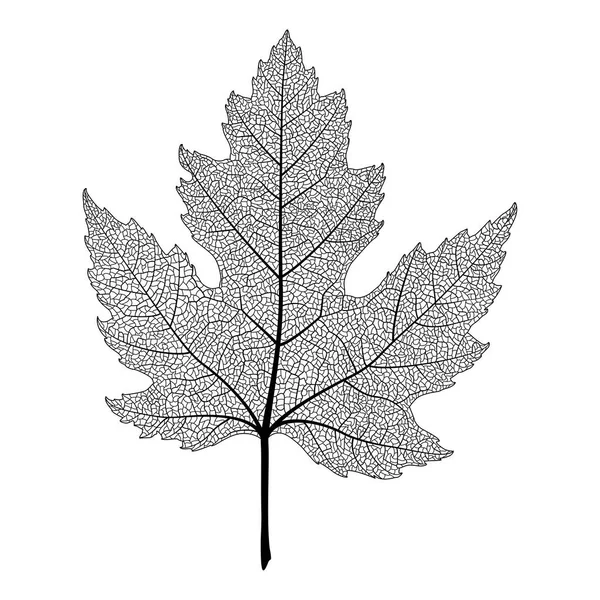 Illustration Vectorielle Une Branche Arbre Avec Des Feuilles — Image vectorielle