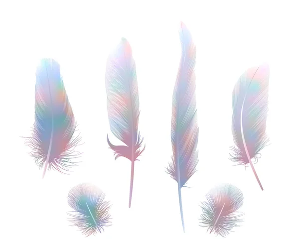 Set Colorful Feathers Isolated White Background — Stockvector