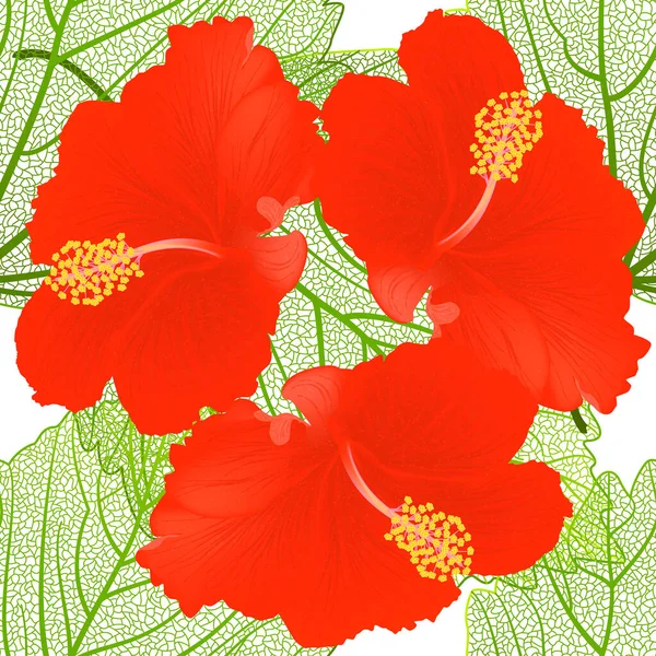 Patrón Sin Costuras Con Flores Hibisco Rojo — Archivo Imágenes Vectoriales