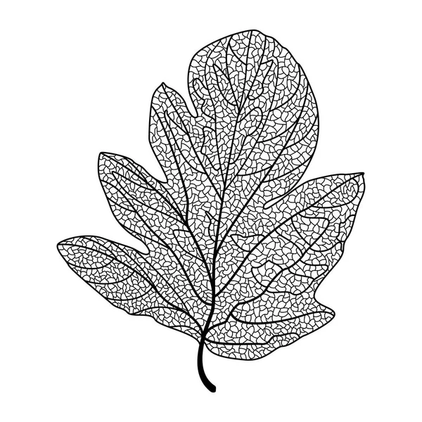 Vector Illustration Leaf Plant — 스톡 벡터