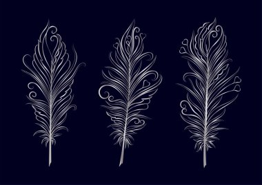 Tüy, tüy, kuş, çizim, taslak, soyut, el, illüstrasyon, siyah,