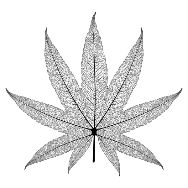 Cannabisblad Geïsoleerd Witte Achtergrond — Stockvector