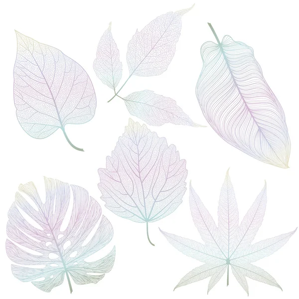 Set Leaves Watercolor Illustration — Stock Vector