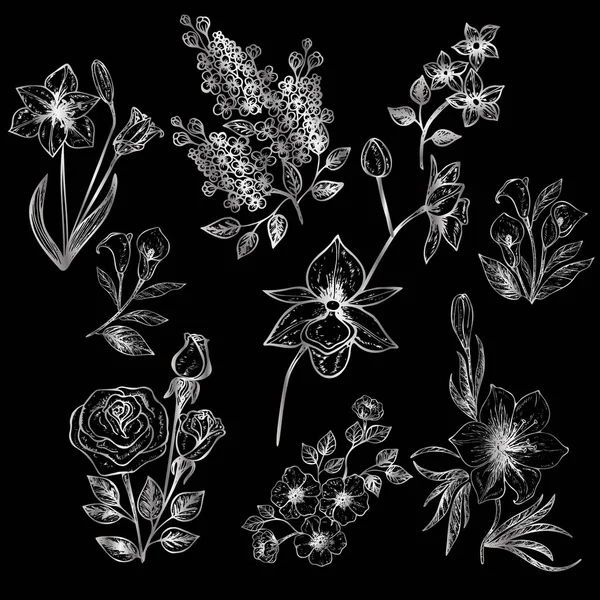 Conjunto Flores Dibujadas Mano Ilustración Vectorial — Archivo Imágenes Vectoriales