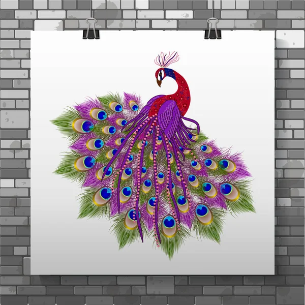 Beautiful Peacock Background Vector Illustration —  Vetores de Stock