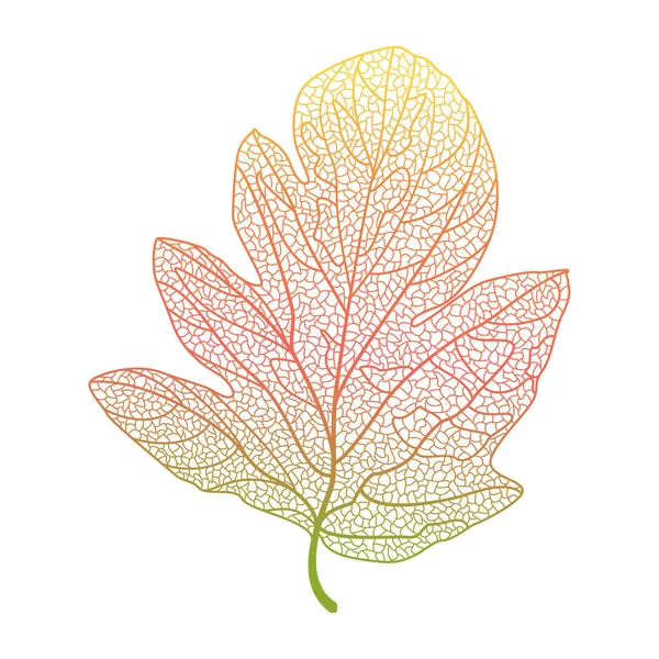 Vektorillustration Der Herbstblätter — Stockvektor