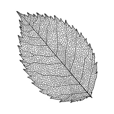 Tasarım için bir arkaplanın vektör illüstrasyonu