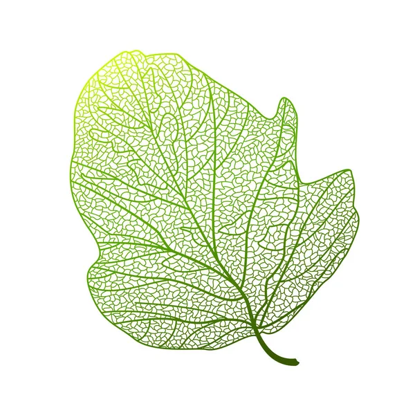 Vector Illustration Leaf Tree — Stockvektor