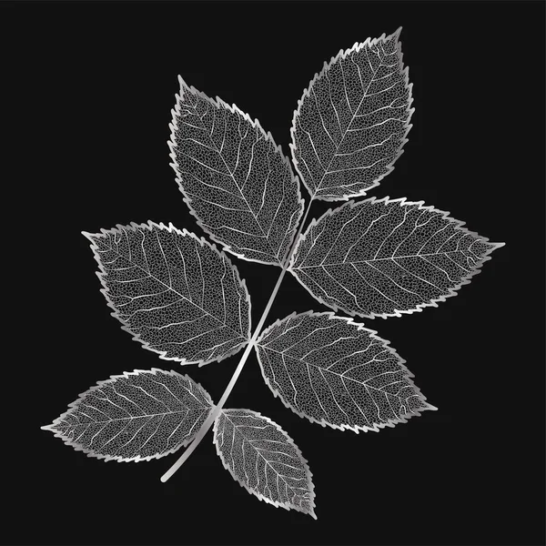 Черный Белый Абстрактный Фон Листьями — стоковый вектор