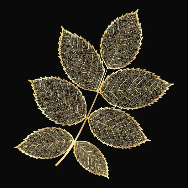 Векторная Иллюстрация Набора Осенних Листьев — стоковый вектор