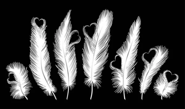 Set Black Feather Isolated Dark Background Vector Illustration — ストックベクタ