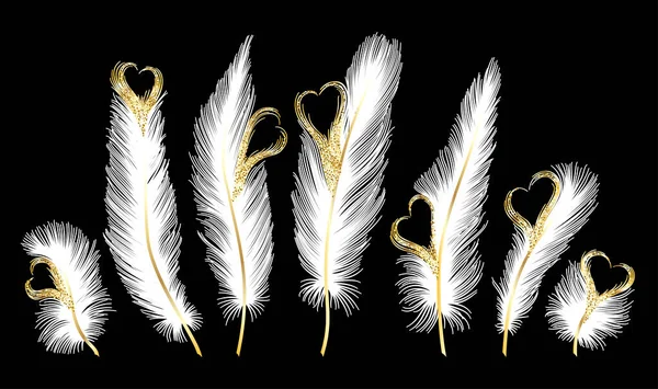 Feather Feathers Vector Illustration — ストックベクタ