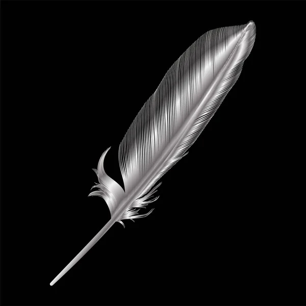 黒い背景の羽 — ストックベクタ