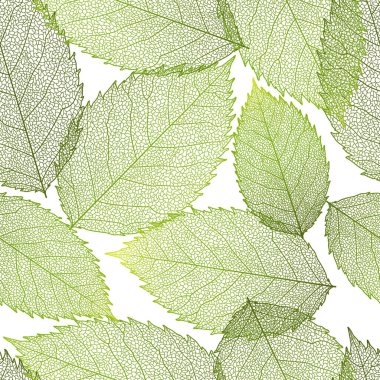 Yeşil yaprakların arkaplanının vektör illüstrasyonu