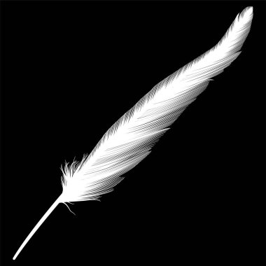 Siyah arkaplanda tüy