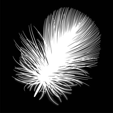 Güzel tropikal yaprakların vektör çizimi