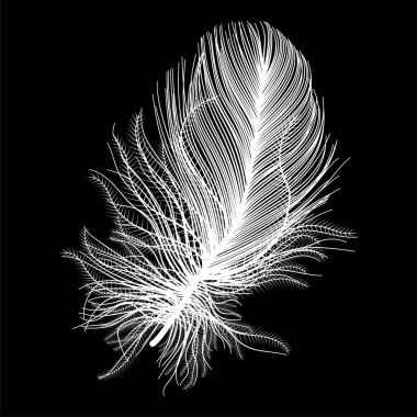 Koyu arkaplanda siyah tüy