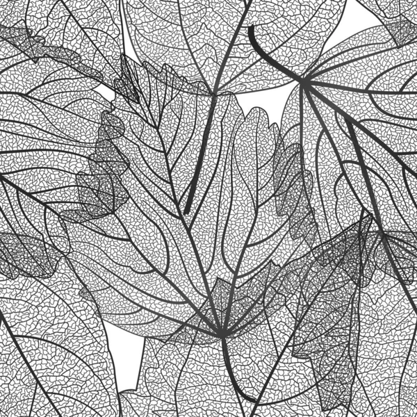 Black White Vector Illustration Autumn Tree Leaves — Vetor de Stock