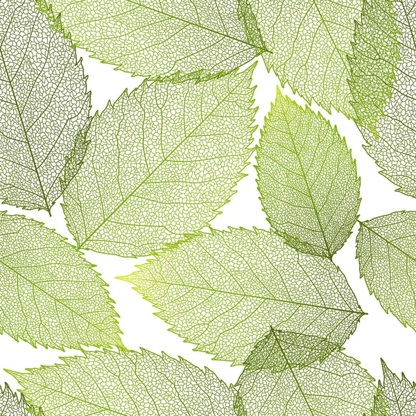 Vector Illustration Background Green Leaves — Stockvector