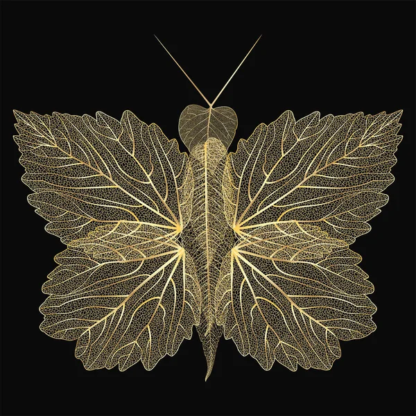 Метелик Чорному Тлі — стоковий вектор