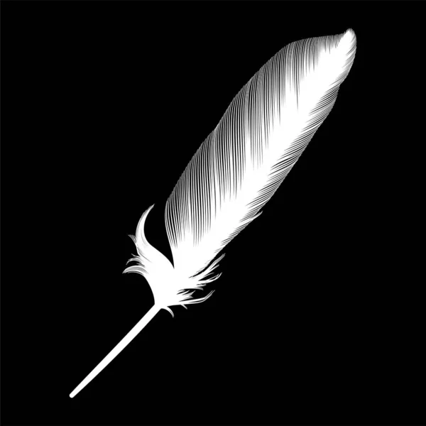 Feather Black Background — Stock Vector