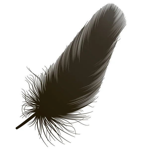 Feather Icon Black White Illustration — ストックベクタ